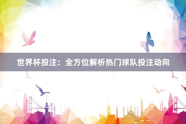 世界杯投注：全方位解析热门球队投注动向